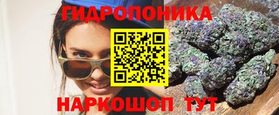 дмт Краснодар
