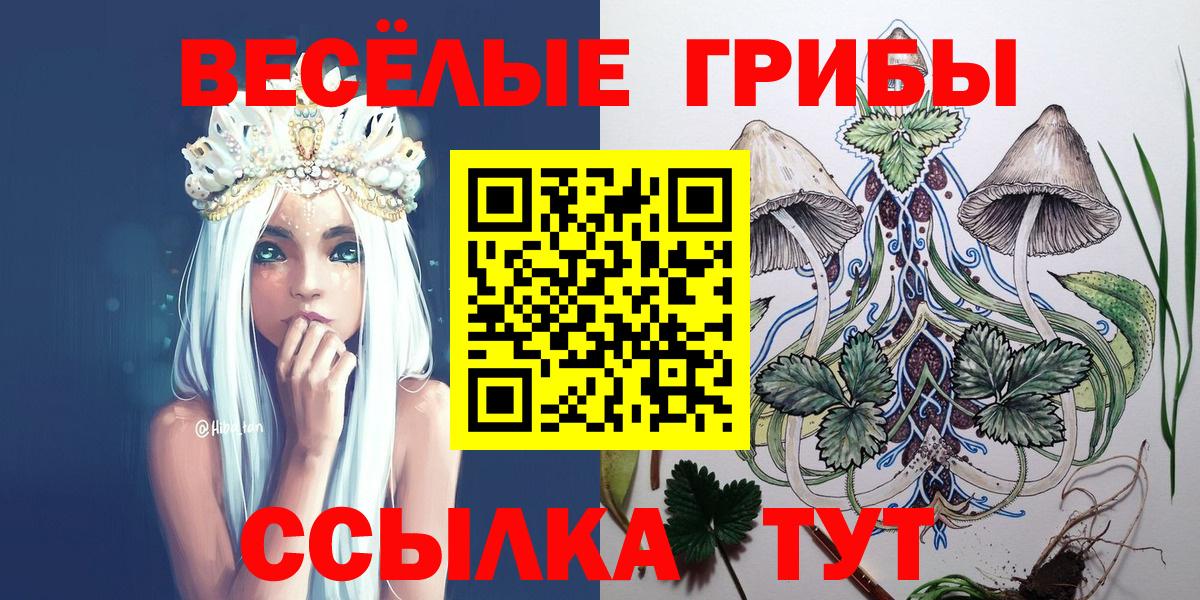 Псилоцибиновые грибы Psilocybine cubensis  Вход с VPN  наркошоп  Касимов  Галлюциногенные грибы GOLDEN TEACHER 